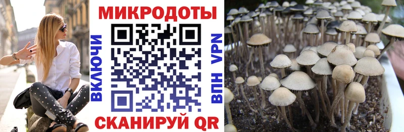 Псилоцибиновые грибы MAGIC MUSHROOMS  Раменское 